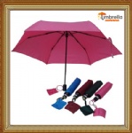 Auto Open & Close Umbrella