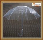 Clear POE Umbrella