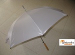 Auto Promo Umbrella