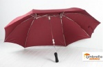 Double Lover Umbrella