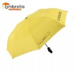 2-Section Automatic Open & Close Umbrella