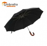 2-Section Automatic Open & Close Umbrella