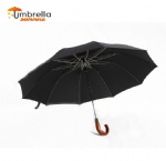 2-Section Automatic Open & Close Umbrella