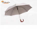 Firm Umbrella