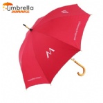 Economy Rain Umbrellas
