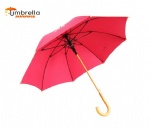 Economy Rain Umbrellas