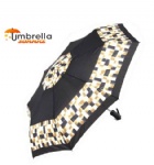 Automatic Open and Close Umbrella