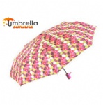 Auto Open & Close Umbrella