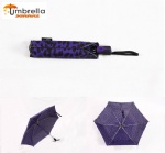 Auto Open & Close Umbrella