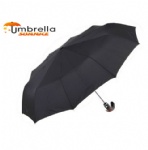 10 Ribs Auto Open & Close Umbrella