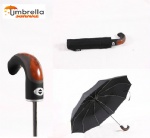 10 Ribs Auto Open & Close Umbrella