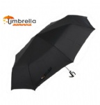 Pop-Up Umbrella