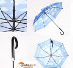 Clouds Umbrella